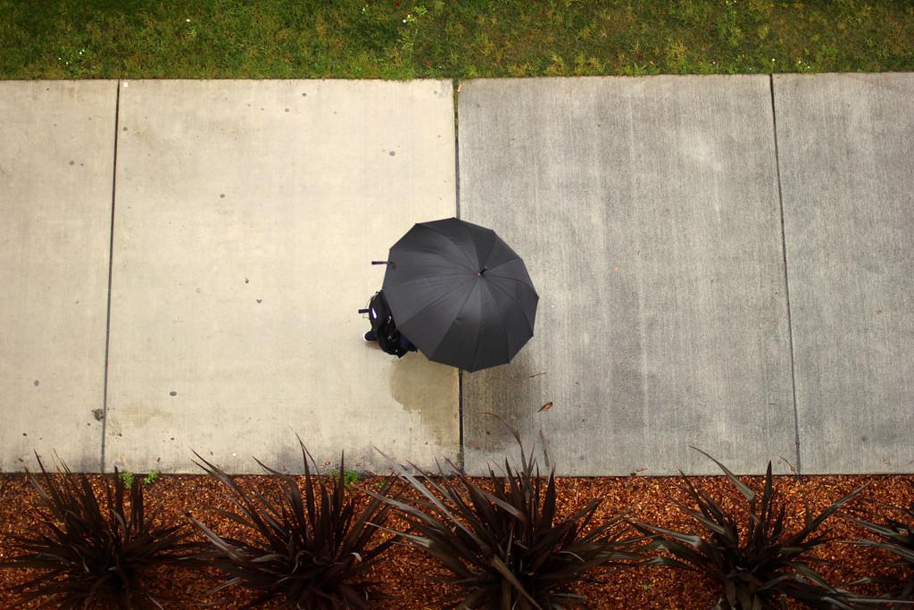 A student hides from the rain under an umbrella near the Humanities Building Wednesday, Feb. 26. Photo by Tony Santos / Xpress
