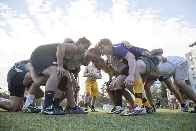 Erwin Rodriguez (left) and Ernst Wullenweber (right) square off with their respective teams during a scrum at practice on Wednesday, Sept. 17, 2014.