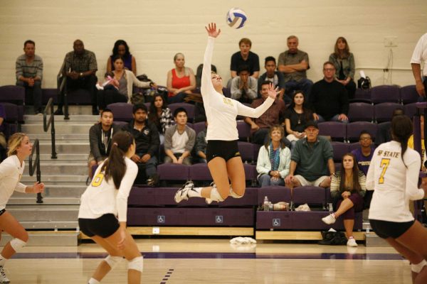 Bria Morgan of the San Francisco State Gators prepares to spike back the ball during a match against the Cal Poly Pomona Broncos. The Gators won the match 3-2 Friday, Sept. 26, 2014. Martin Bustamante / Xpress.