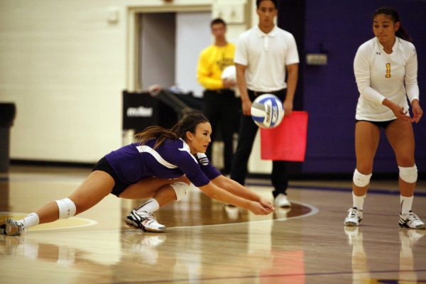 Jessica Nicerio of the San Francisco State Gators digs the ball back into play during a match against the Cal Poly Pomona Broncos. The Gators won the match 3-2 Friday, Sept. 26, 2014. Martin Bustamante / Xpress.