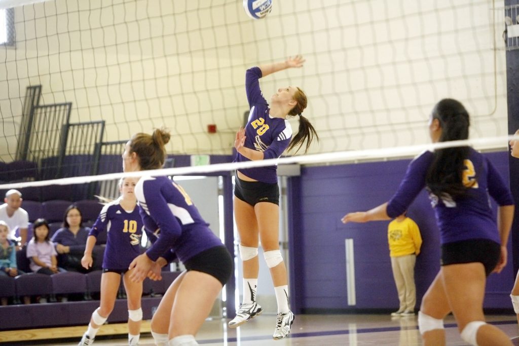 Bria Morgan (20) of the SF State Gators spikes the ball back to the CSU San Dominguez Hills Toros during a match Saturday, Oct. 18, 2014. The Gators won the match 3-0.