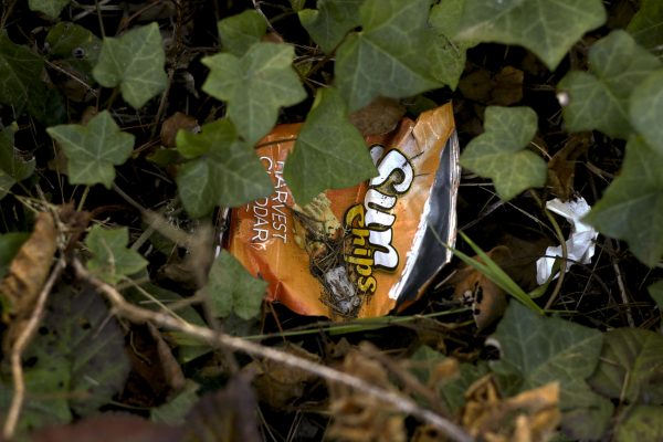 A chip bag hides in the bushes after Hardly Strictly Bluegrass Festival at Golden Gate Park Tuesday, Oct. 7, 2014 at Golden Gate Park in San Francisco. Amanda Peterson / Xpress.