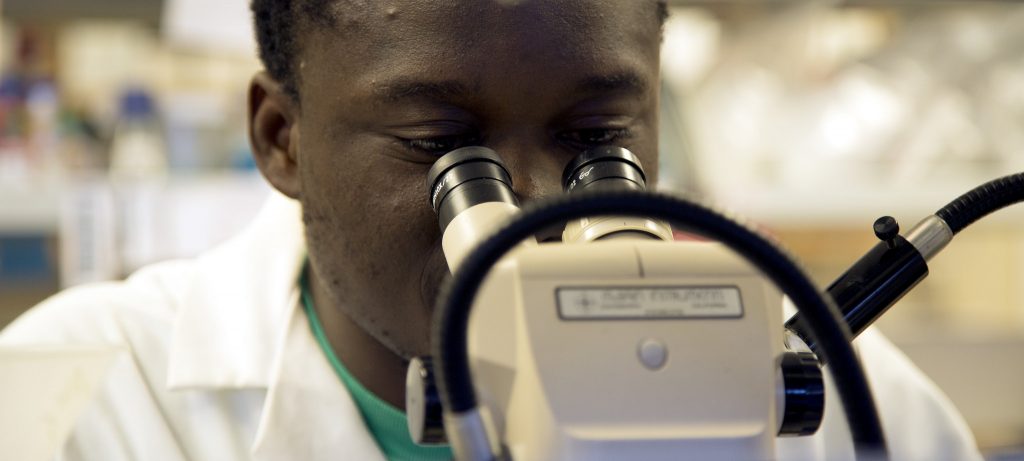 Pingdewinde N. Sam, biology graduating senior, looks in the microscope at drops of blood in Blake Riggs Lab Monday, May 11. (Emma Chiang / XPRESS).