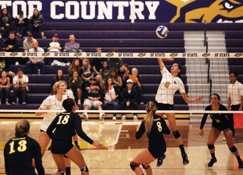 SF State Gators’ Jaclyn Clark (6) prepares to strike the ball against the Cal State L.A. Golden Eagles during the second set of the match at the Swamp Friday October 2. SF State won 3-1. (Joel Angel Juárez / Xpress)