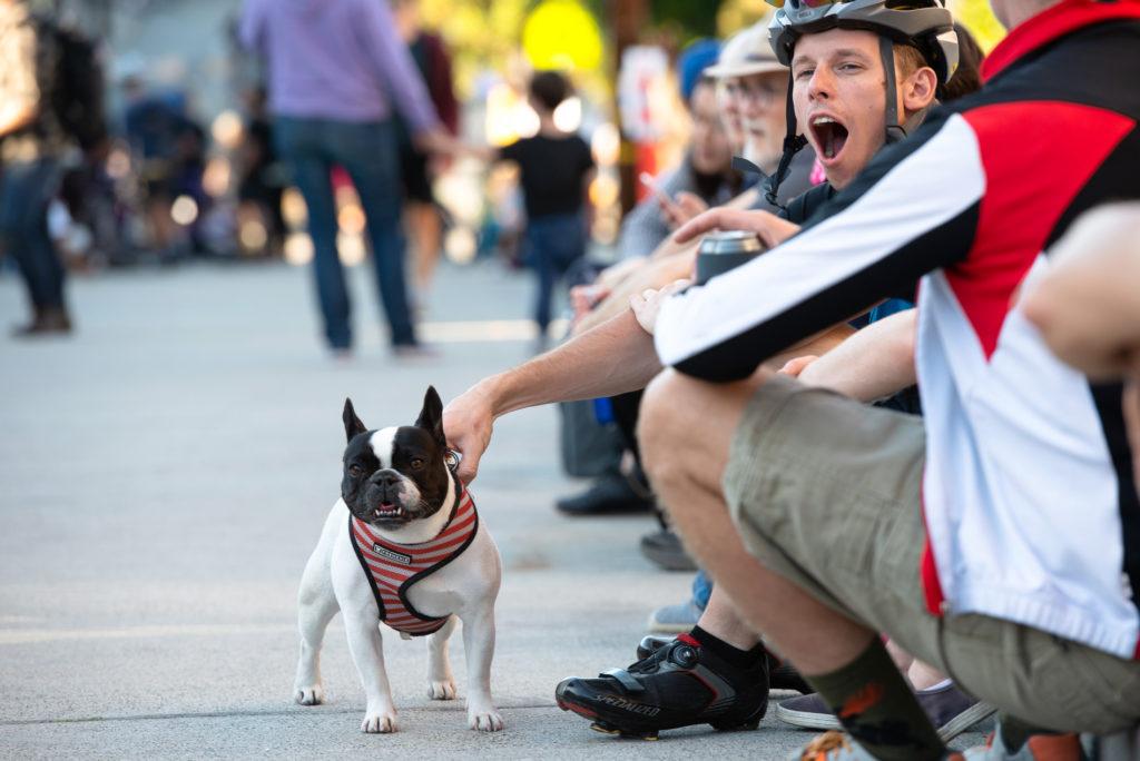 A Red Bull Bay Climb participant watches the race with his dog as they sit on the sidewalk on Saturday, Sept. 8.