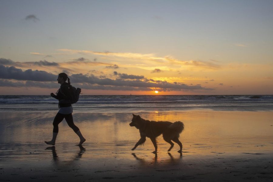 A person runs on the beach with their dog during sunset at Ocean Beach in San Francisco. (Emily Curiel / Golden Gate Xpress)
