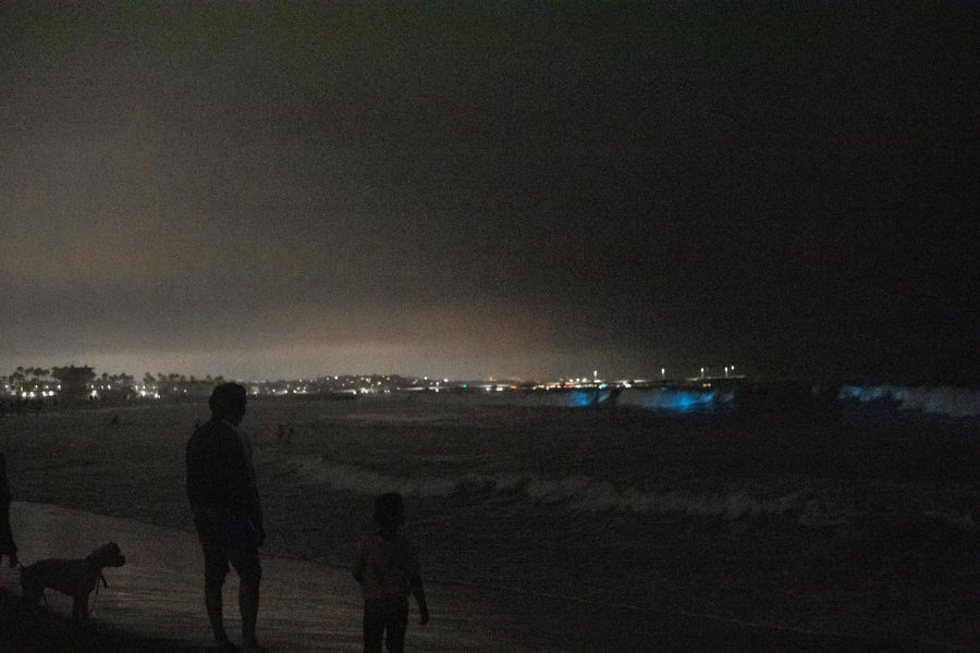 People flock to Venice Beach to see the bioluminescent waves hit the shore and disregard social distancing guidelines. Photographed in Venice Beach, California. 