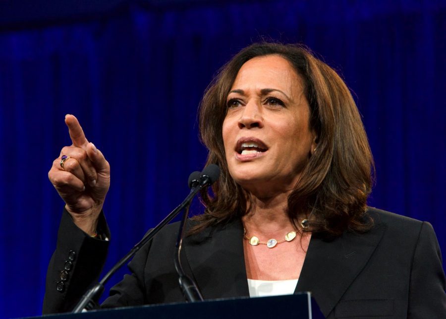 “As a member of the intelligence committee and the judiciary committee, shes been [Kamala Harris] in the middle of the most critical national security challenges our country faces,” Biden said at his first joint campaign event with Harris.(Sheila Fitzgerald / Shutterstock.com)