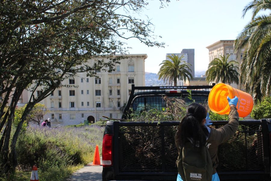 Volunteer Mishael Marcelo disposes of waste at Lafayette Park on April 30. (Jensen Giesick / Golden Gate Xpress)
