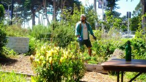 Luis Reyes, an Environmental Studies major, rids the Sol Patch Garden of invasive plants on Sept. 19. (Miguel Francesco Carrion / Golden Gate Xpress) 