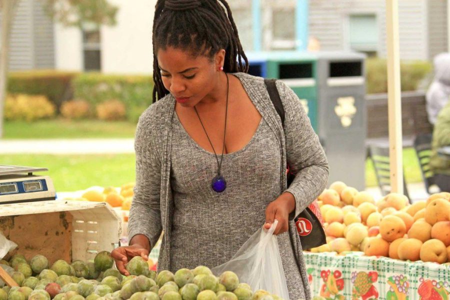 A vendor from the Associated Students Farmers Market browses a fellow vendors organic fruit in front of the Humanities Building on Sept. 7, 2016. (Lauren Saldana / Golden Gate Xpress)
