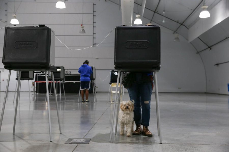 Morgan Jones and her dog, Twig, vote in Annex I on SF States campus on Nov. 8, 2022. (Juliana Yamada / Golden Gate Xpress)