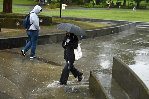 A person, covered by an umbrella, walks in the rain at SF State in San Francisco, Calif., on Monday, Feb. 27, 2023. California has been hit by a few large winter storms in the past few days, bringing a deluge of rain and snow. (Aaron Levy-Wolins/Golden Gate Xpress)