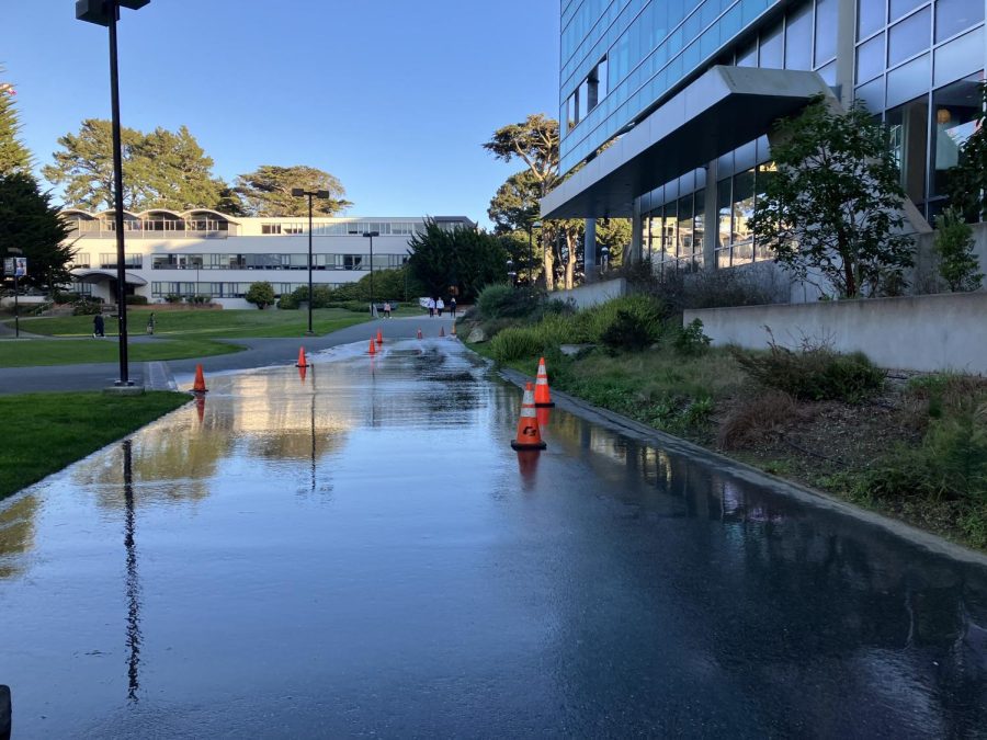 Water leaking throughout the highly-footed pathway at the SF State quad on Wednesday, Jan. 25, 2023. (Letícia Luna / Golden Gate Xpress)