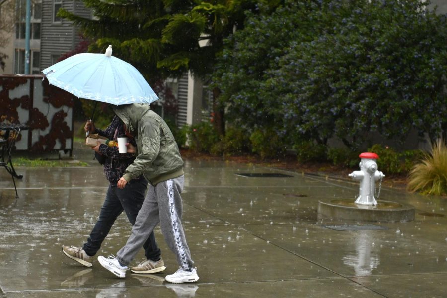 Students walk by with an umbrella in the rain at SF State, on Monday, Feb. 27, 2023. (Aaron Levy-Wolins/ Golden Gate Xpress)