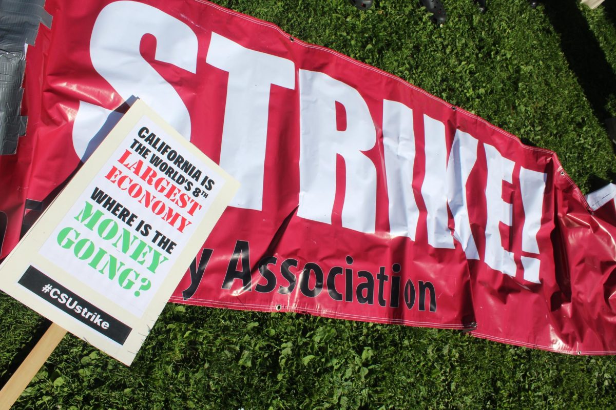 A banner saying “Strike” lays on the grass during a CSU faculty union strike practice rally.  SFSU students and faculty exercise their right to protest against the tuition hikes and faculty cuts on Wed, Oct. 11, 2023 at SFSU on the Quad. (Kayla Williams / Contributor to Golden Gate Xpress) 
