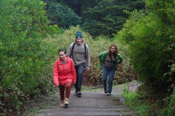 Jessica Phung, Tobias Roat and Kelly Bailon walk up steps during their Lands End hike on Nov. 18, 2023. (Neal Wong/Golden Gate Xpress)
