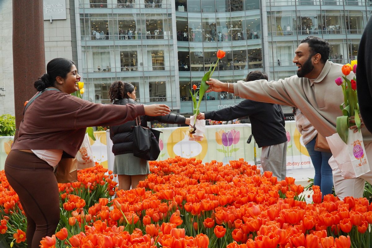 People+hand+tulips+to+each+other+at+Union+Square+during+Tulip+Day+on+March+9%2C+2024.+%28Neal+Wong+%2F+Golden+Gate+Xpress%29