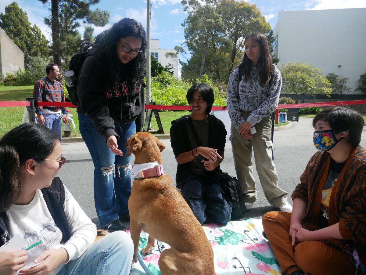 A group of people play with Toffee the service dog at the Wags for Wellness event outside of the Student Services Building on Wednesday, Sept. 18, 2024. (Anessa Bailon / Golden Gate Xpress)